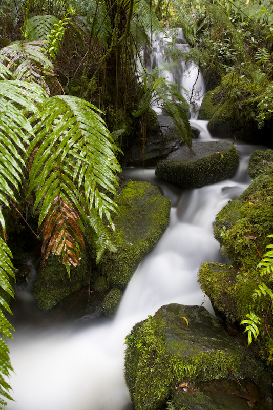 Small Cascade In Epheremal Creek